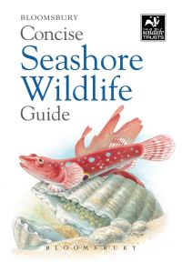 Book Cover for Concise Seashore Wildlife Guide by Wildlife Trusts Great Britain