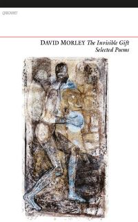 Book Cover for The Invisible Gift by David Morley
