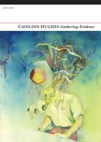 Book Cover for Gathering Evidence by Caoilinn Hughes