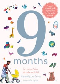Book Cover for 9 Months by Courtney Adamo