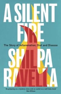 Book Cover for A Silent Fire by Shilpa Ravella