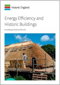 Book Cover for Energy Efficiency and Historic Buildings. Insulating Thatched Roofs by David Pickles