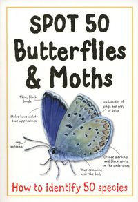Book Cover for Spot 50 Butterflies & Moths by Camilla De la Bédoyère