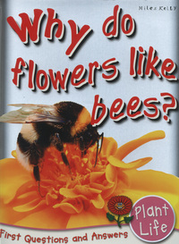 Book Cover for Why Do Flowers Like Bees? by Camilla De la Bédoyère