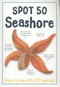 Book Cover for Spot 50 Seashore by Camilla De la Bédoyère