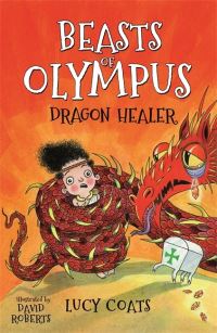 Book Cover for Dragon Healer by Lucy Coats