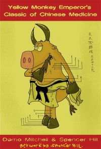 Book Cover for The Yellow Monkey Emperor's Classic of Chinese Medicine by Damo Mitchell