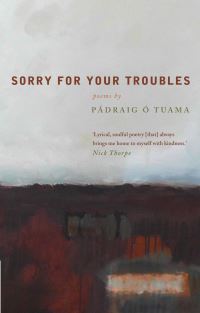 Book Cover for Sorry for Your Troubles by Padraig Ó Tuama