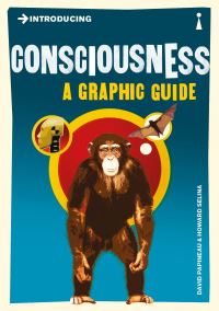 Book Cover for Introducing Consciousness by David Papineau, Howard Selina