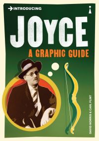 Book Cover for Introducing Joyce by David Norris, Carl Flint