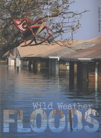 Book Cover for Floods by Angela Royston