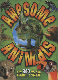 Book Cover for Amazing Animals by Lynn HugginsCooper