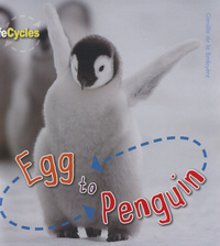 Book Cover for Egg to Penguin by Camilla De la Bédoyère