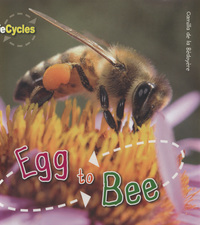 Book Cover for Egg to Bee by Camilla De la Bédoyère
