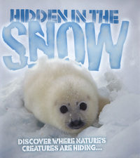 Book Cover for Hidden in the Snow by Barbara Taylor