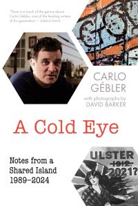 Book Cover for A Cold Eye by Carlo Gébler