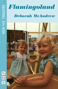 Book Cover for Flamingoland by Deborah McAndrew