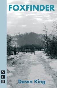 Book Cover for Foxfinder by Dawn King