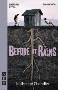 Book Cover for Before It Rains by Katherine Chandler
