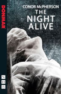 Book Cover for The Night Alive by Conor McPherson