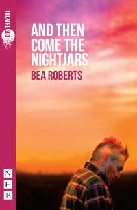Book Cover for And Then Come The Nightjars by Bea Roberts