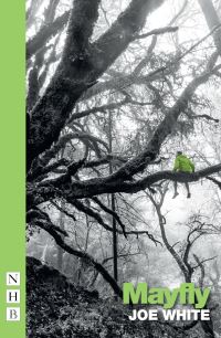 Book Cover for Mayfly by Joe White