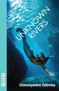 Book Cover for Unknown Rivers by Chino Odimba