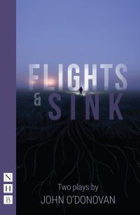 Book Cover for Flights by John ODonovan, John ODonovan