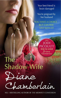 Book Cover for The Shadow Wife by Diane Chamberlain
