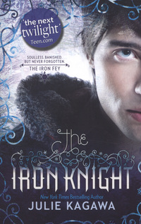 Book Cover for The Iron Knight by Julie Kagawa