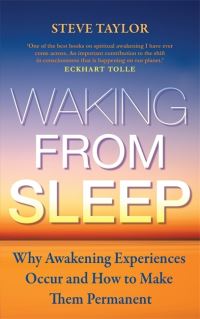 Book Cover for Waking from Sleep by Steve Taylor