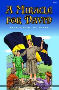 Book Cover for A Miracle for David by Steffan Lloyd, Brett Breckon