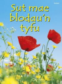 Book Cover for Sut Mae Blodau'n Tyfu by Emma Helbrough, Maggie Silver, Uwe Mayer, Elin Meek