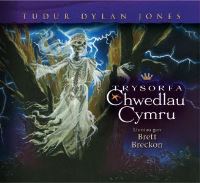 Book Cover for Trysorfa Chwedlau Cymru by Tudur Dylan Jones