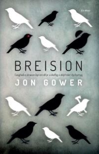 Book Cover for Breision by Jon Gower