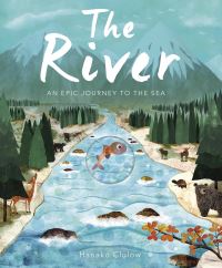 Book Cover for The River by Patricia Hegarty