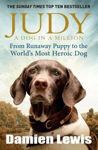 Book Cover for Judy by Damien Lewis