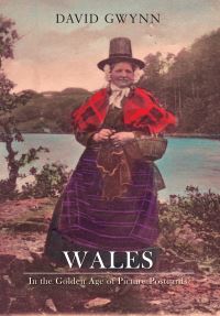 Book Cover for Wales by D R Gwynn