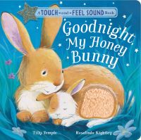Book Cover for Goodnight My Honey Bunny by Tilly Temple