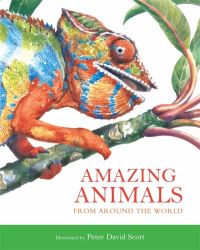 Book Cover for Amazing Animals by Peter David Scott