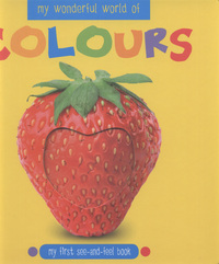 Book Cover for My Wonderful World of Colours by Katie Cotton