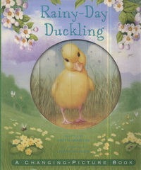 Book Cover for Rainy-Day Duckling by Ruth Martin, John Butler
