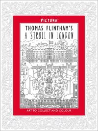 Book Cover for Pictura by Thomas Flintham