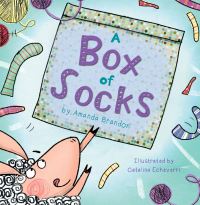 Book Cover for A Box of Socks by Amanda Brandon