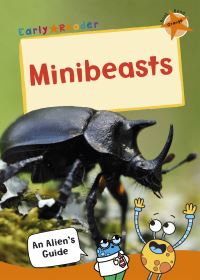 Book Cover for Minibeasts by 
