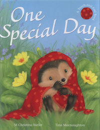 Book Cover for One Special Day by M Christina Butler, Tina Macnaughton