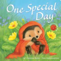 Book Cover for One Special Day by M Christina Butler, Tina Macnaughton