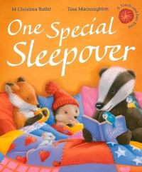 Book Cover for One Special Sleepover by M. Christina Butler