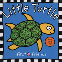 Book Cover for Little Turtle by 