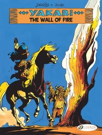 Book Cover for The Wall of Fire by Derib, Job, Dominique